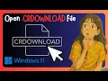 How To Open A CRDOWNLOAD File On Windows 11 - GUIDE