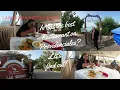 Las Brisas Restaurant is one of the best Restaurants to dine on Providenciales-TCI