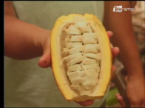 Ecuador Agropecuario 28-09-2017