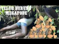 Download Lagu TELUR AYAM MAHAL,,!! TERPAKSA CARI TELUR BURUNG DALAM TANAH UNTUK BUAT LAUK