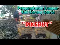 Download Lagu DIKEBUT‼️ PENGANGKUTAN LUMPUR KALI KARANG SATRIA DIPERCEPAT DENGAN MENAMBAH ARMADA DUMPTRUCK 