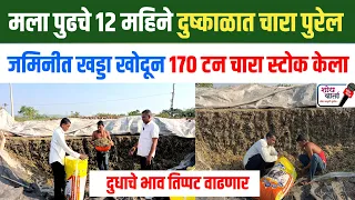 दुष्काळात चाऱ्याचे नियोजन कसे करावे | दुष्काळात जनावरांची कोणती काळजी घ्यावी | शोध वार्ता | 