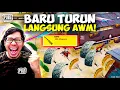 Download Lagu HOKI BANGET! BARU TURUN LANGSUNG AWM! FULL BARBAR GAMING! - PUBG MOBILE