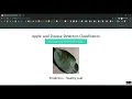 Apple Leaf Disease Detection CNN Flask in Python Projects