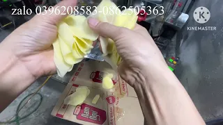 máy thái sợi  đu đủ thái lát  bắp cải tím xiêu mỏng 0396208583-0862505363-096 2751283