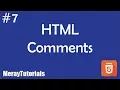 7 - HTML Comments