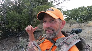 2025 Utah Elk Hunt - Tag Punched