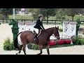 Gone Country THIS Adult Medal WEC OCALA 2026