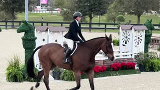 Gone Country THIS Adult Medal WEC OCALA 2026
