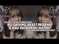 Lagu Dj Ku Sayang Sekali Padamu X Kau Patahkan Hatiku Full Beat Viral Tiktok Terbaru 2021 Dj Komang Rimex