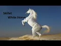 Download Lagu Skillet White Horse Lyric Video
