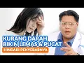 Lagu Hati hati, Ini 7 Penyebab Anemia atau Kurang Darah!