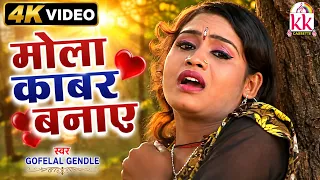 Gofelal Gendle | Shail Kiran | Cg Song | Mola Kabar Banaye Bahiya Pagla Deewana | Chhattisgarhi Gana