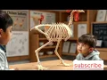 How Many Bones Does a Chicken Have Fascinating Chicken Skeleton Facts