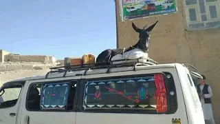 خلیفه استه کو وقتی نمازه با صدای میرچمن سلطانی Hazaragi Dambore 