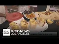 National Breakfast Burrito Day with Sobuneh restaurant