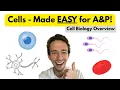 The Ultimate Cell Biology Review for Anatomy Physiology Students