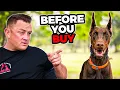 Is the DOBERMAN Right For You