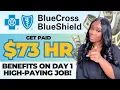 Make 2 BLUE CROSS BLUE SHIELD WORK FROM HOME ONLINE JOBS