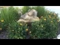 Olathe Community Center Farm and Art market Saturday