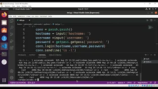 Python SSH connection with pxssh and running a command on a remote SSH server