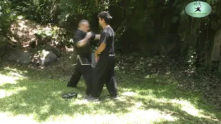 Qi Gong Martial en Ming Dao Quan