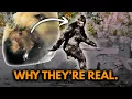 Download Lagu Bigfoot itu ada. Saya akan membuktikannya dalam 30 menit.