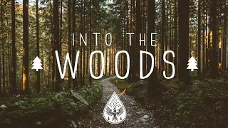 Into The Woods 🌲 - A Mysterious Folk/Pop Playlist