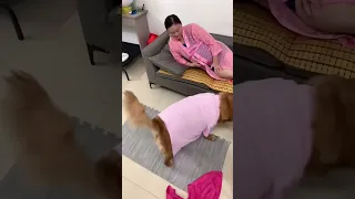                                                                                          دندنها
