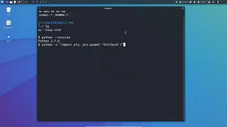 How To Stabilize Your UGLY Reverse Shell