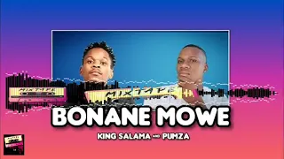 bonane mowe king salama u0026 pumza house new hit visualizer 