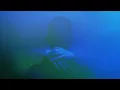 tesh - FINGERTIPS