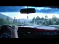 Я їду в Карпати, зелені Карпати