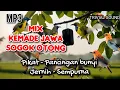 Download Lagu MIX sogon dan cabe-cabean paling jernih dan sempurna untuk pikat !!