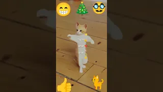 جوجو حمود حبيبي حمود Hamood 