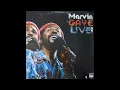 Marvin Gaye - Distant Lover (Live, 1974)