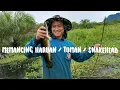Betaut Tuman | Mengail Haruan | Fishing for Snakehead | Haruan Bakar - Gayau Padok, Simunjan