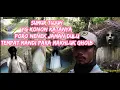 Download Lagu tujuh sumur yg dulu di kenal sebagai tempat para makhluk ghoib !!!...... 😯