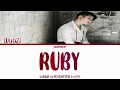 WOOZI of SEVENTEEN - RUBY Color Coded Han