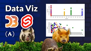Data Viz w Svelte and D3 Tutorial - Custom and Interactive Data Visualization
