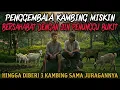 Download Lagu PENGGEMBALA KAMBING BERSAHABAT DENGAN JIN PENUNGGU BUKIT - cerita mistis - cerita horor 