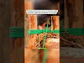 Channel