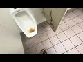 Unisex Restroom Shoot Walgreens West New York NJ
