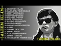 Download Lagu SALEEM IKLIM FULL ALBUM  LAGU MALAYSIA TERPOPULER TANPA IKLAN