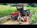 Lagu agricultural vehicle driver transporting timber