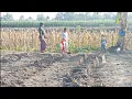 Download Lagu SENG SEMANGAT TE GOLEK DUWET MASIO NDUWE ANAK CILIK, DEDE IZA PINTER DI AJAK MERGAWE
