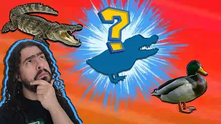 CADÊ OS FÓSSEIS INTERMEDIÁRIOS? (#Pirula 371.5)