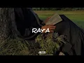 Download Lagu Ray'a by Amr Diab ||lyrics arab + latin + terjemah indonesia