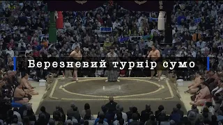 Ozeki Aonishiki Highlights March Grand Sumo Tournament Reiwa 8