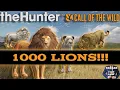 I grinded 1000 LIONS The results will SHOCK you theHunter Call of the Wild